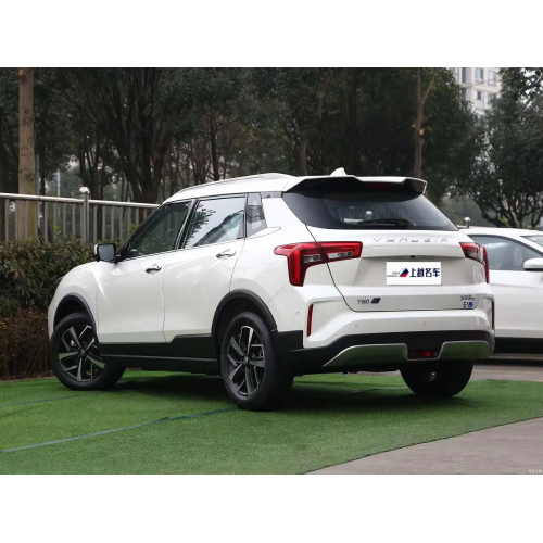 Hot Selling Very Cheap New Energy Vehicle EV Cars Dongfeng Qichen T60 In 2022 New Energy Vehicles